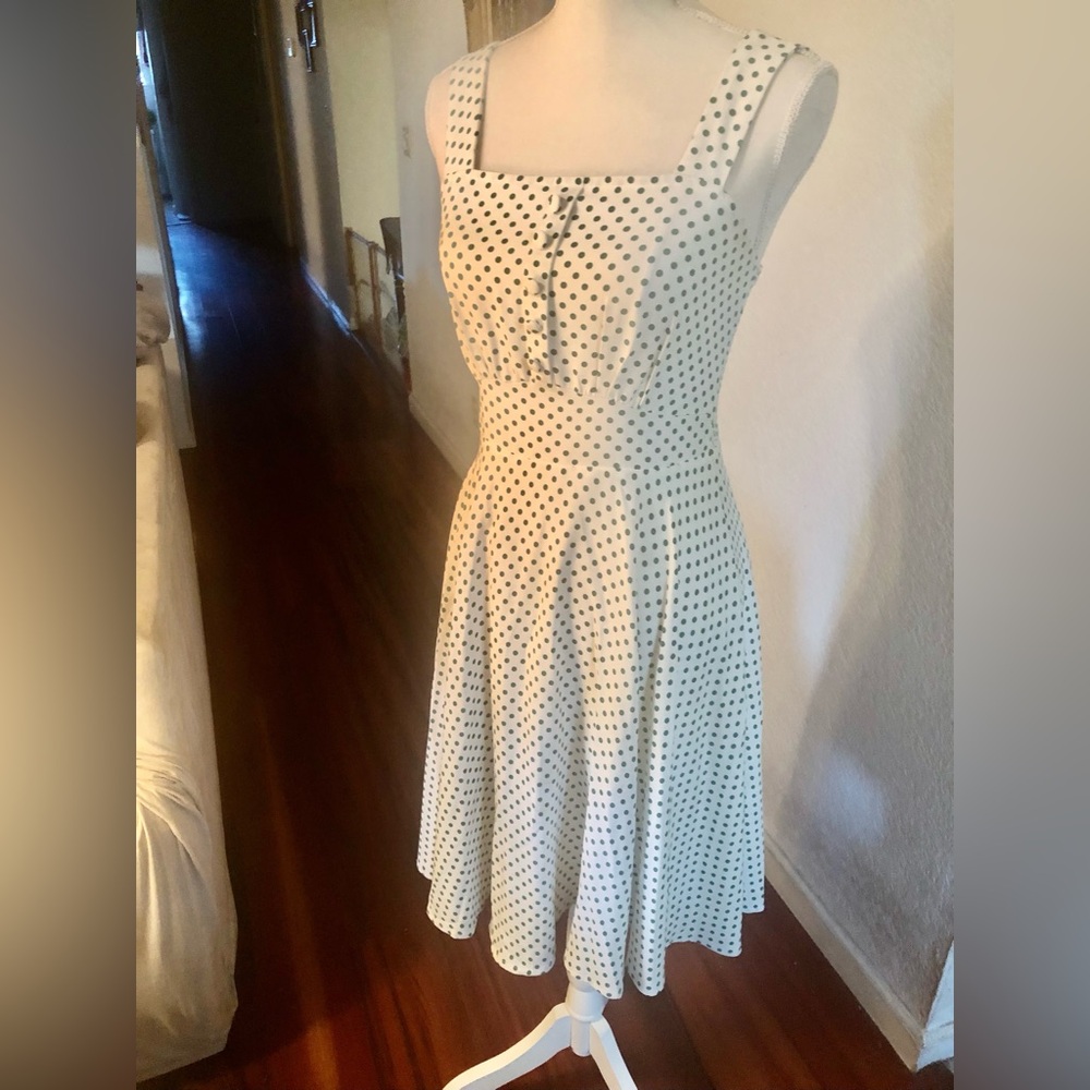 Belle Poque Polka Dot Fit and Flare Dress